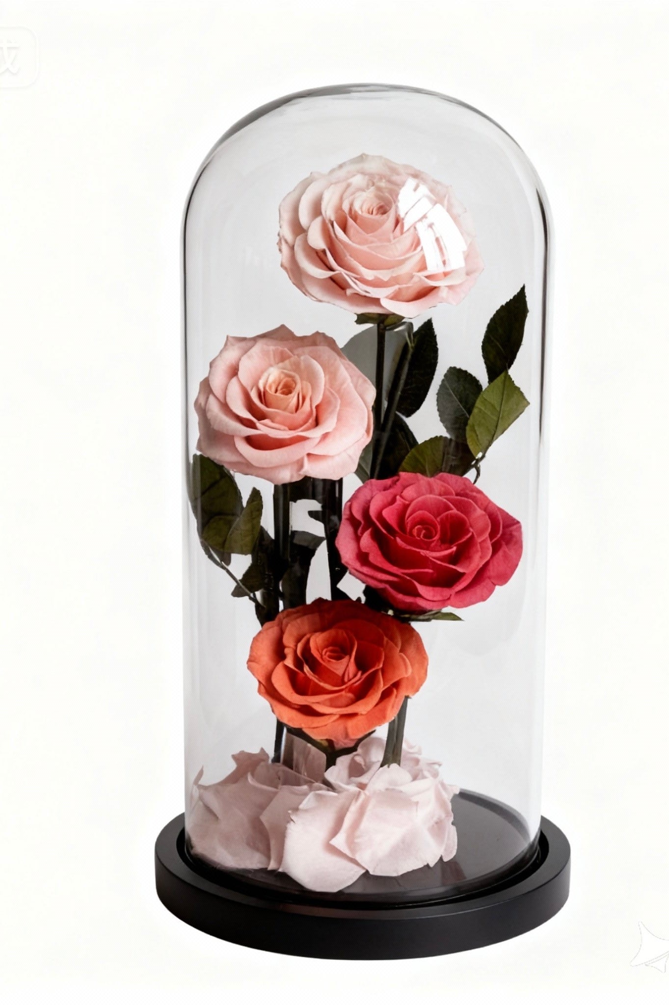 FB002 Preserved Flower Box | Forever in Bloom