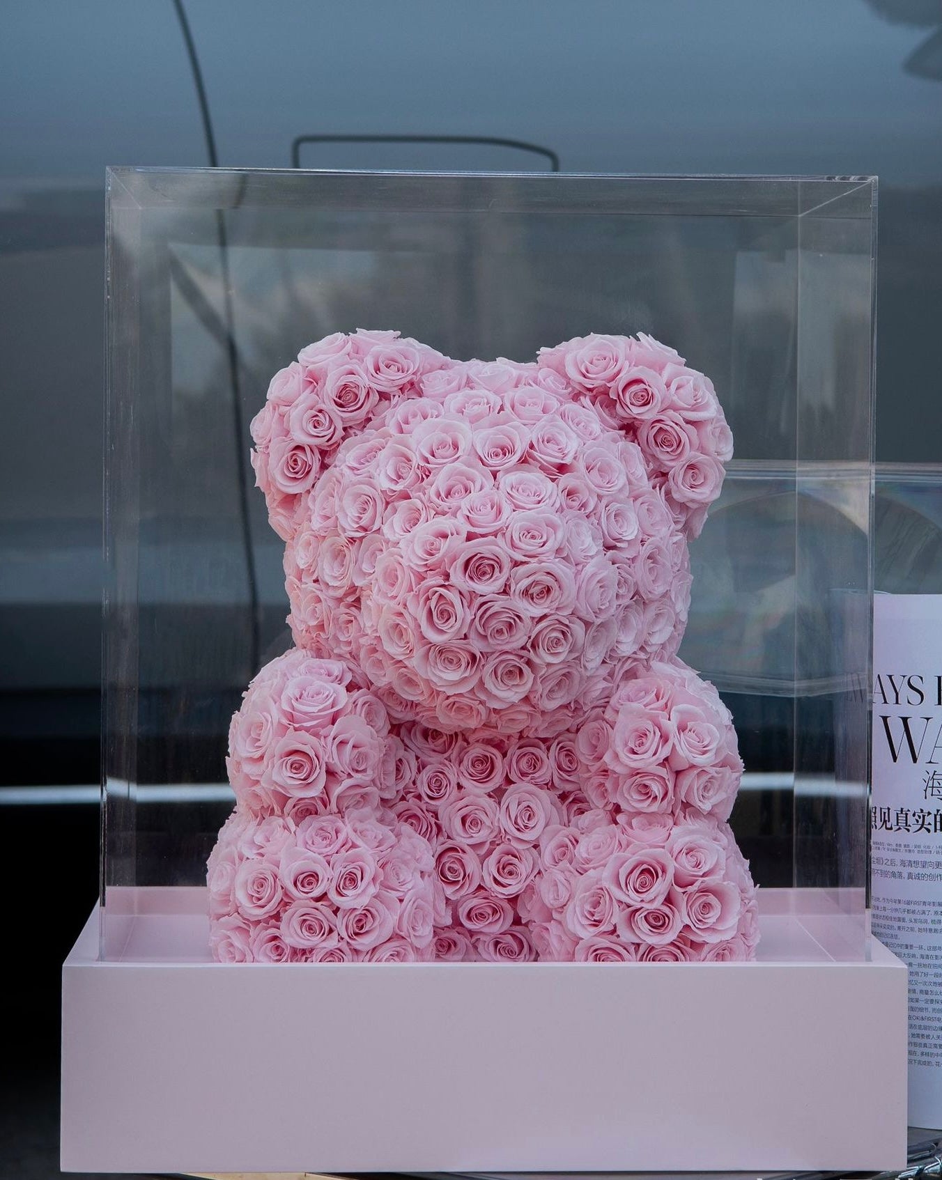 Rosy Bear Bliss-Luxury gifts